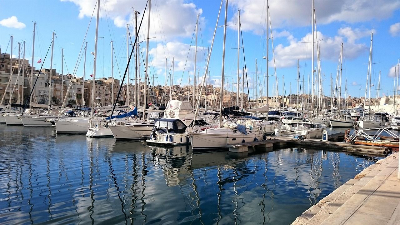 découvrez comment voyager de manière responsable et durable grâce à nos conseils, astuces et destinations éco-responsables pour réduire votre empreinte écologique tout en explorant le monde.