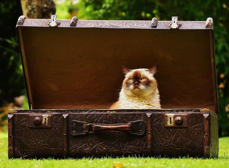 Comment optimiser sa valise cabine pour voyager léger en 2025